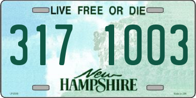 NH license plate 3171003