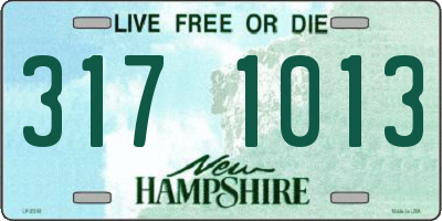 NH license plate 3171013