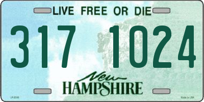 NH license plate 3171024