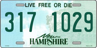 NH license plate 3171029