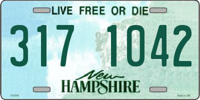 NH license plate 3171042