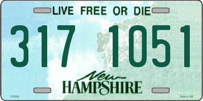 NH license plate 3171051