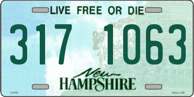 NH license plate 3171063