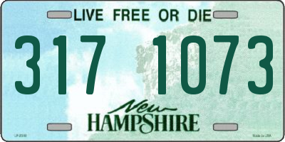 NH license plate 3171073