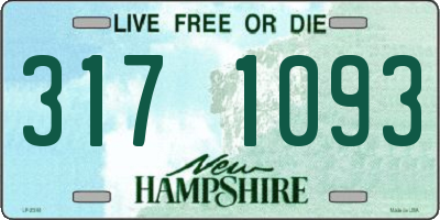 NH license plate 3171093