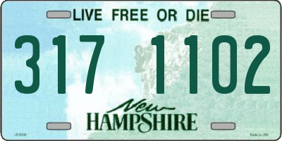 NH license plate 3171102