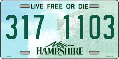 NH license plate 3171103