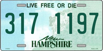 NH license plate 3171197