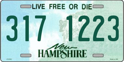 NH license plate 3171223