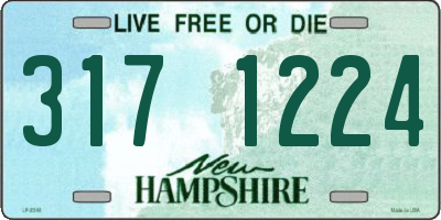 NH license plate 3171224