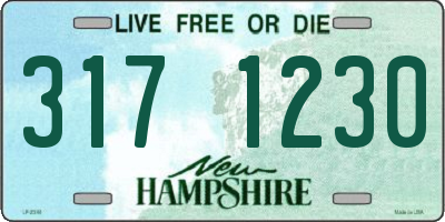 NH license plate 3171230