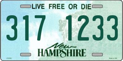 NH license plate 3171233