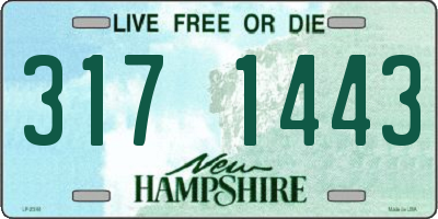 NH license plate 3171443