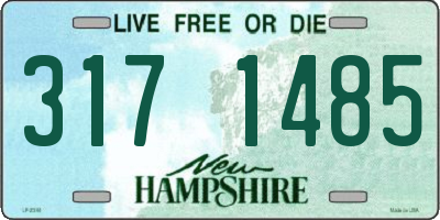 NH license plate 3171485