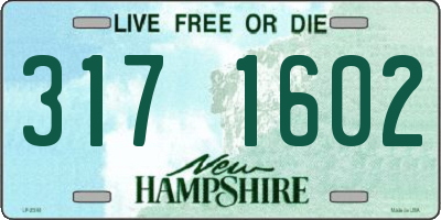 NH license plate 3171602