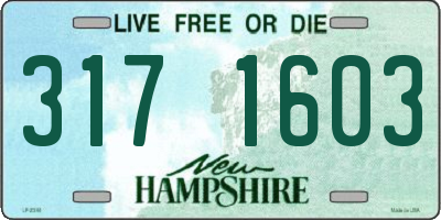NH license plate 3171603