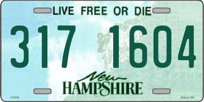 NH license plate 3171604