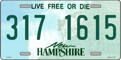 NH license plate 3171615