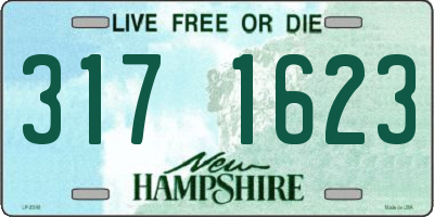 NH license plate 3171623