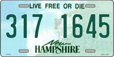 NH license plate 3171645