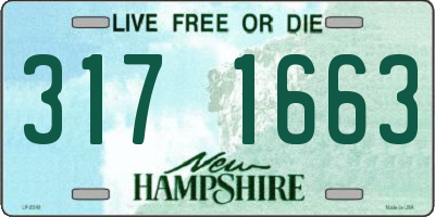 NH license plate 3171663