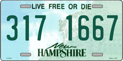 NH license plate 3171667