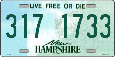 NH license plate 3171733