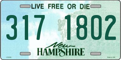 NH license plate 3171802