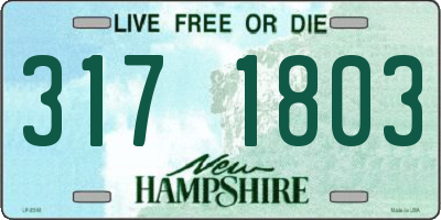 NH license plate 3171803