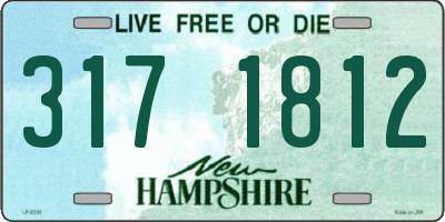 NH license plate 3171812