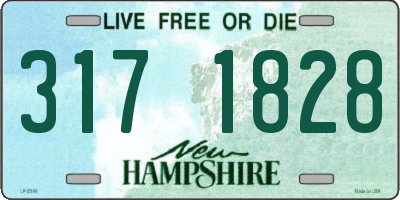 NH license plate 3171828