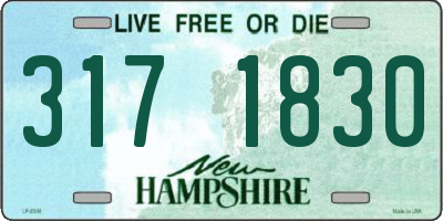 NH license plate 3171830