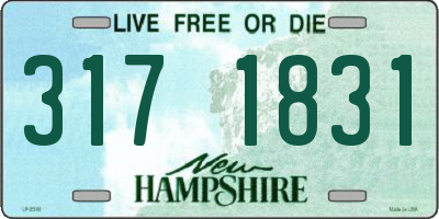 NH license plate 3171831