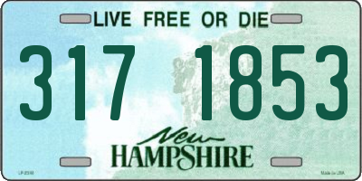 NH license plate 3171853