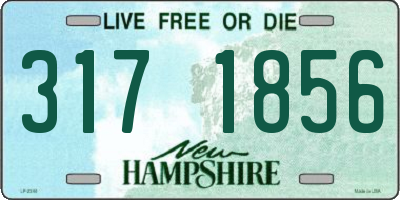 NH license plate 3171856