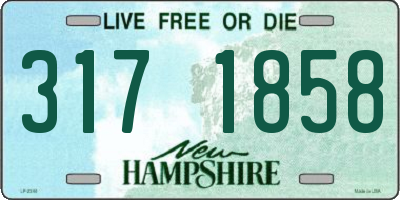 NH license plate 3171858