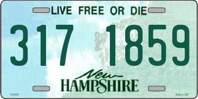 NH license plate 3171859