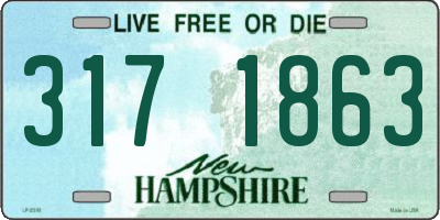 NH license plate 3171863