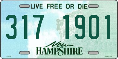 NH license plate 3171901
