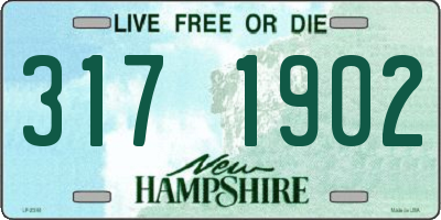 NH license plate 3171902