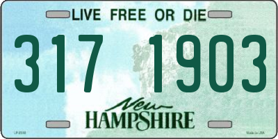 NH license plate 3171903