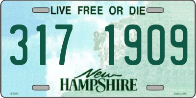 NH license plate 3171909