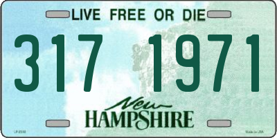 NH license plate 3171971