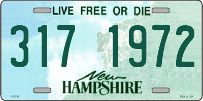 NH license plate 3171972