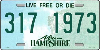 NH license plate 3171973