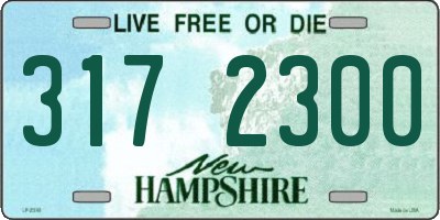 NH license plate 3172300