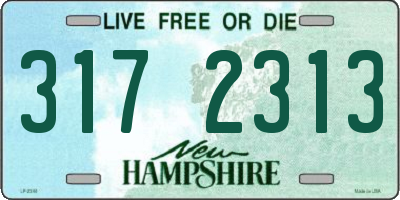 NH license plate 3172313