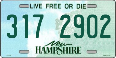 NH license plate 3172902