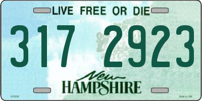 NH license plate 3172923