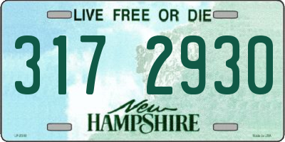 NH license plate 3172930